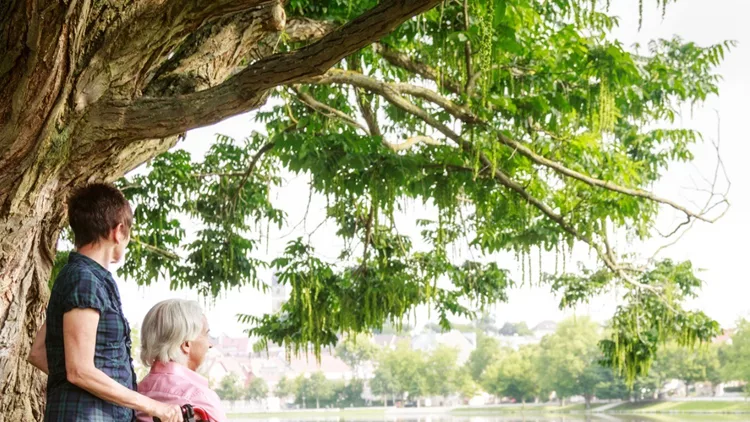 senior-couple-in-wheelchair-picture-id585091924