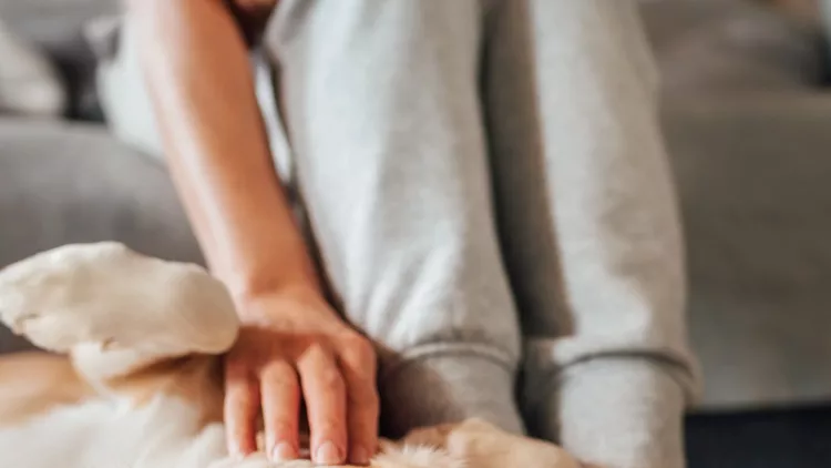 woman-with-selfiestick-wearing-hat-and-sunglasses-taking-pictures-picture-id1196417867