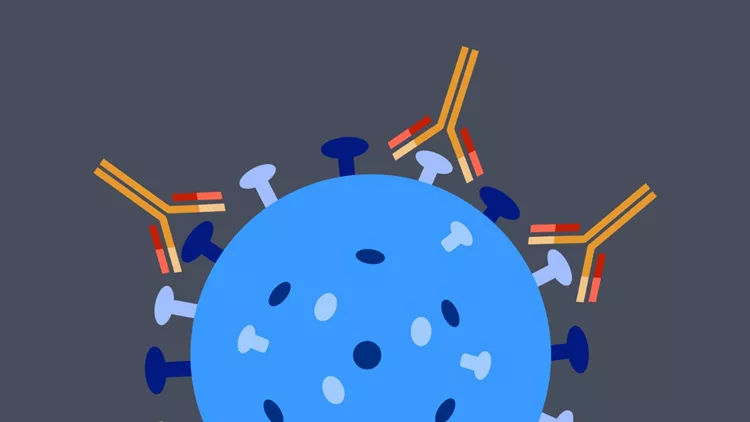 antibody-capturing-virus-vector-id1256476822