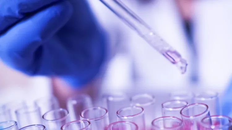 female-lab-technician-doing-research-with-a-microscope-in-the-lab-picture-id1204793213