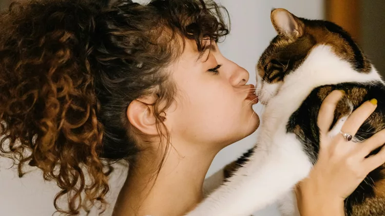 Ημερήσιες προβλέψεις