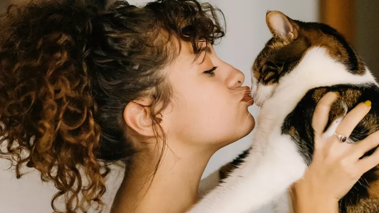 Ημερήσιες προβλέψεις