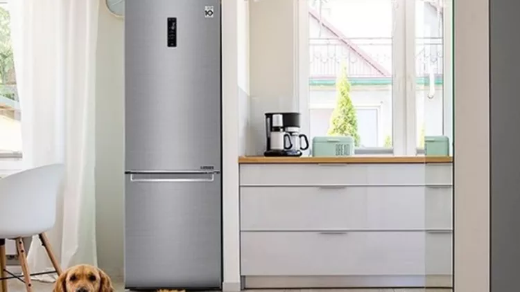 LG fridge