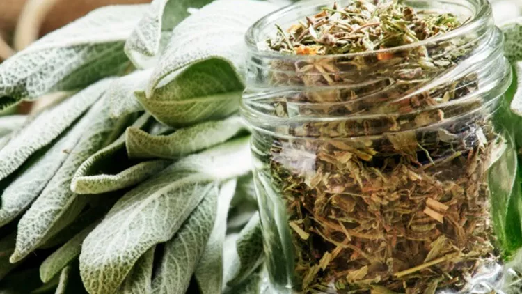 dried-sage-in-a-glass-jar-fresh-sage-picture-id528429974