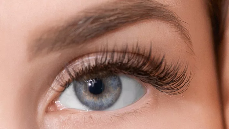 beauty-in-our-eyes-picture-id507376966