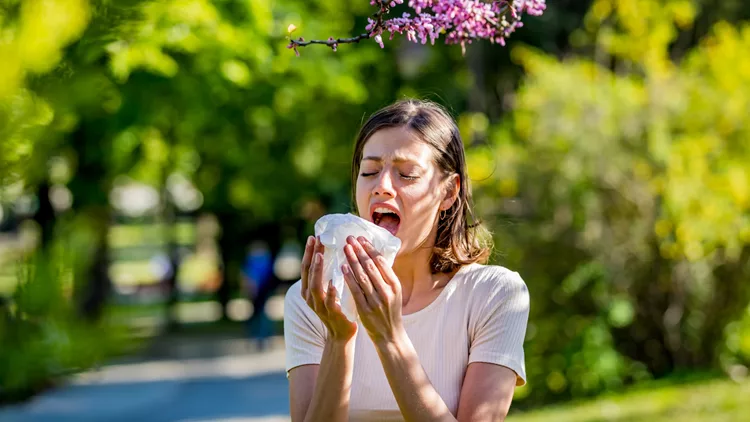 spring allergies