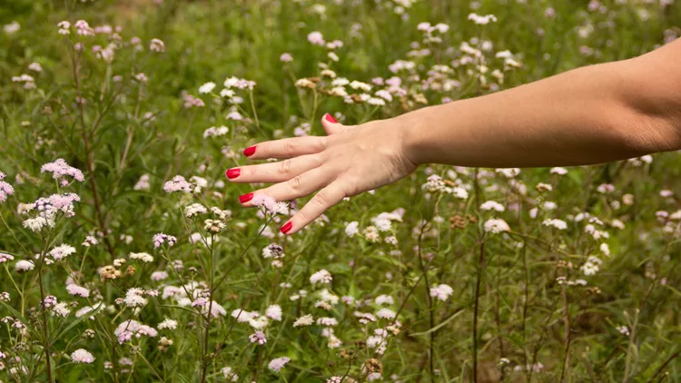 νύχια άνοιξη