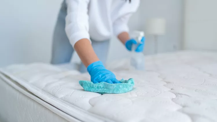 spray for bed bugs