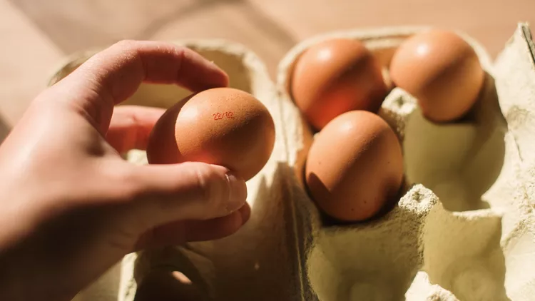 eggs