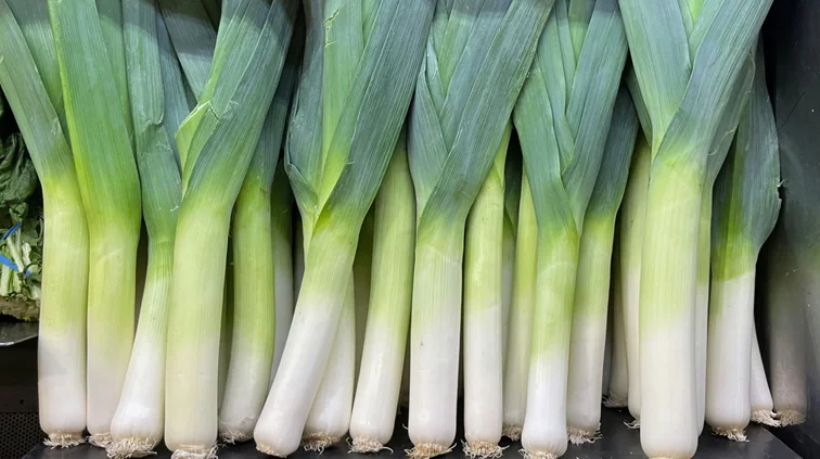 Πράσο: Το χειμερινό λαχανικό με υψηλή θρεπτική αξία – 10 οφέλη για την υγεία