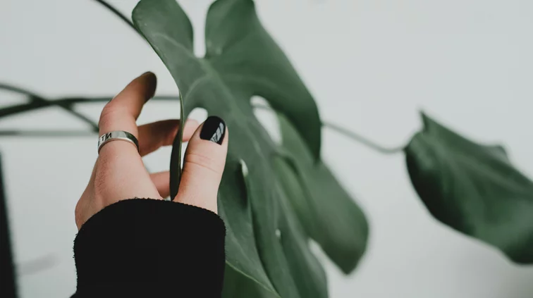 Ημερήσιες προβλέψεις 22/12: Ποια ζώδια ευνοούνται σήμερα;