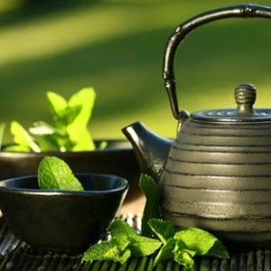το πράσινο τσάι αποδυναμώνει το tpu)