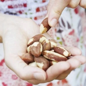 snack-diaitis-erevna