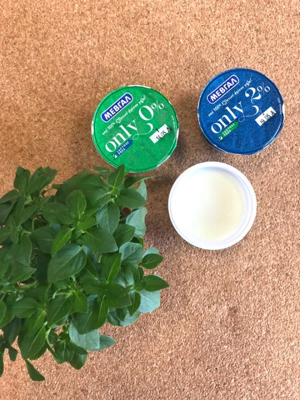 SHAPE yogurt challenge: Τι έγινε όταν αποφασίσαμε να τρώμε ένα γιαούρτι κάθε μέρα - εικόνα 2