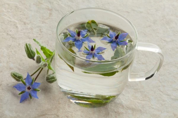 Κρύο τσάι από βότανα: 5 δροσιστικές επιλογές από την Κωνσταντίνα Μερκούρη - εικόνα 4